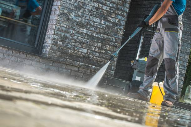 Best Dumpster Area Cleaning  in La Huerta, NM