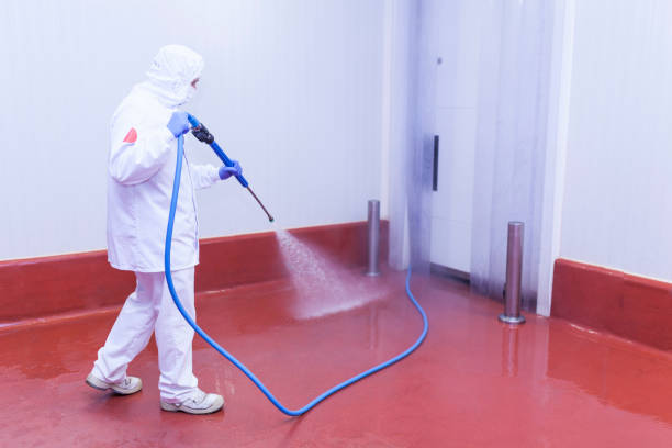 Trusted La Huerta, NM Pressure Washing Services Experts